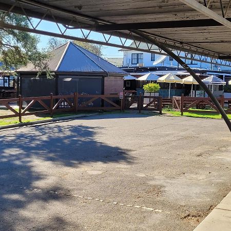 Palm And Pawn Motor Inn Wagga Wagga Eksteriør billede